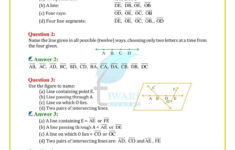 2 Polynomials Class 10 Worksheet With Answers 2 Pin By Tiwari Academy
