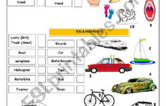 BODY PARTS TRANSPORT ESL Worksheet By Merozabela