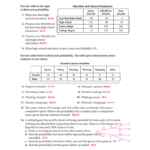 Conditional Probability Worksheet THEBYUMOVIEREVIEW