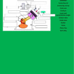 Engine Parts Worksheet